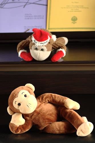 monkey voyeur|Video Monkey – Page 2 – The Best from Voyeur Monkey.